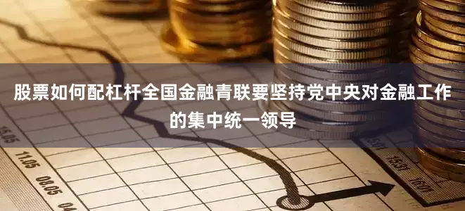 股票如何配杠杆全国金融青联要坚持党中央对金融工作的集中统一领导