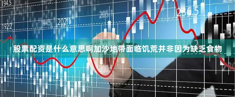 股票配资是什么意思啊加沙地带面临饥荒并非因为缺乏食物