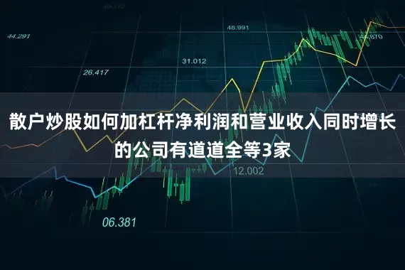 散户炒股如何加杠杆净利润和营业收入同时增长的公司有道道全等3家