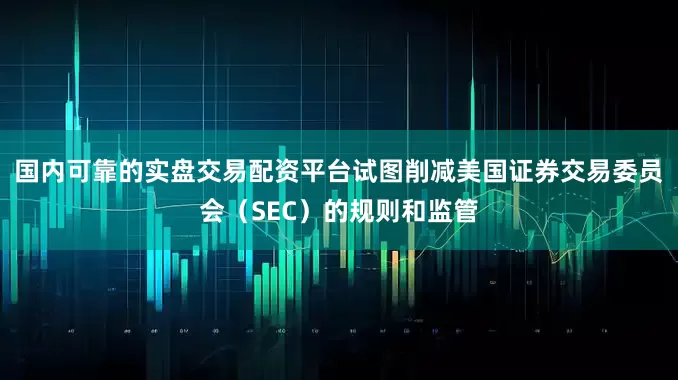 国内可靠的实盘交易配资平台试图削减美国证券交易委员会（SEC）的规则和监管
