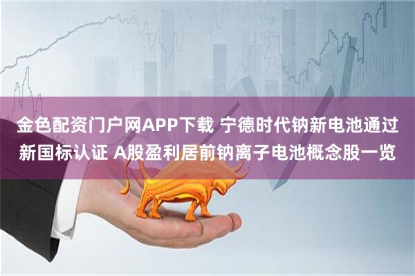 金色配资门户网APP下载 宁德时代钠新电池通过新国标认证 A股盈利居前钠离子电池概念股一览