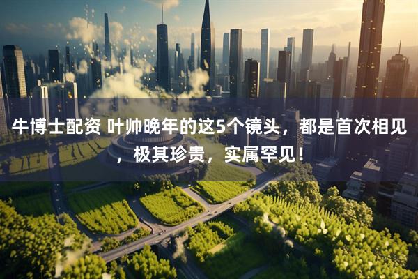 牛博士配资 叶帅晚年的这5个镜头，都是首次相见，极其珍贵，实属罕见！