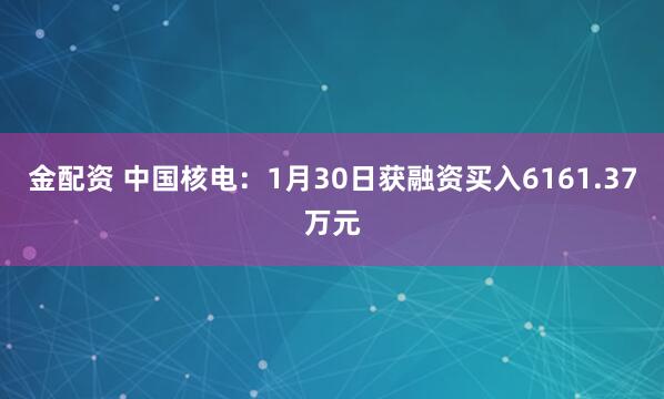 金配资 中国核电：1月30日获融资买入6161.37万元