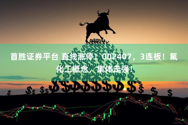 首胜证券平台 直线涨停！002407，3连板！氟化工概念，集体走强！